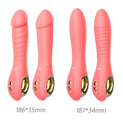 Leten 2 Pcs/set Portable Vibrator Kit Include Fairy Wand Electromagnetic Pulse Thrusting and Powerful Lovely Bullet Vibrator